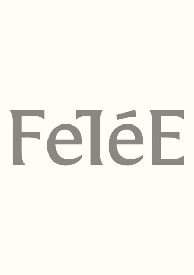 FeTéEのカタログ表紙画像