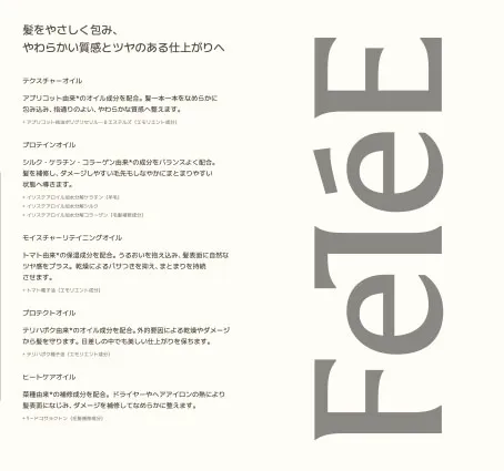FeTéEのリーフレット表紙画像